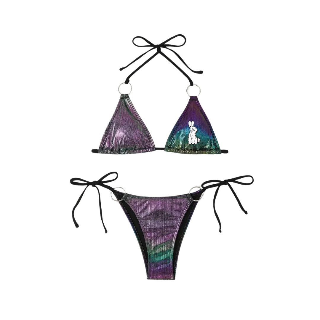 Reflective Matte Bikini Set